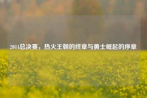 2014总决赛,热火王朝的终章与勇士崛起的序章