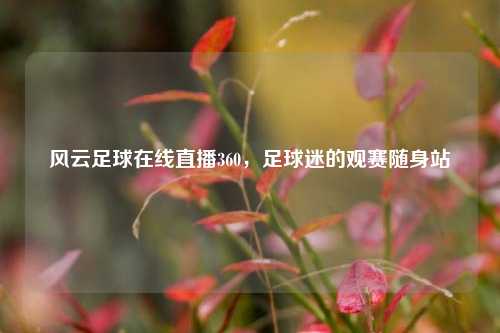 风云足球在线直播360,足球迷的观赛随身站