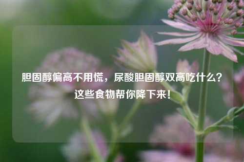 胆固醇偏高不用慌,尿酸胆固醇双高吃什么?这些食物帮你降下来!