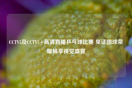 CCTV5及CCTV5+高清直播乒乓球比赛 见证国球荣耀畅享视觉盛宴