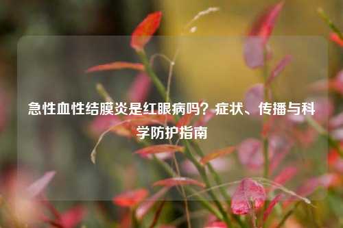 急性血性结膜炎是红眼病吗?症状、传播与科学防护指南