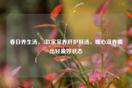 春日养生汤,3款家常养肝护肝汤,暖心滋养喝出轻盈好状态