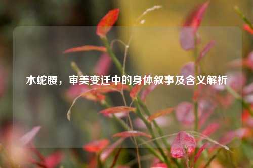 水蛇腰,审美变迁中的身体叙事及含义解析