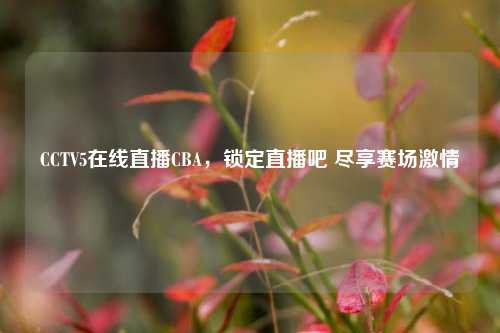 CCTV5在线直播CBA,锁定直播吧 尽享赛场