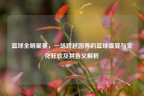 篮球全明星赛,一场跨越国界的篮球盛宴与文化狂欢及其含义解析