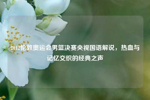 2012伦敦奥运会男篮决赛央视国语解说,热血与记忆交织的经典之声
