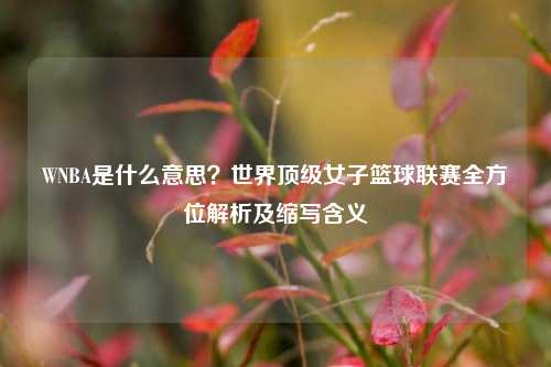 WNBA是什么意思?世界顶级女子篮球联赛全方位解析及缩写含义