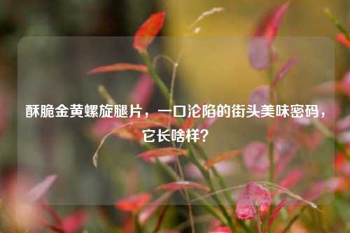 酥脆金黄螺旋腿片,一口沦陷的街头美味密码,它长啥样?