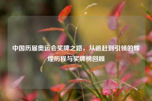 中国历届奥运会奖牌之路,从追赶到引领的辉煌历程与奖牌榜回顾