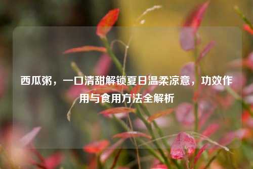 西瓜粥,一口清甜解锁夏日温柔凉意,功效作用与食用 全解析
