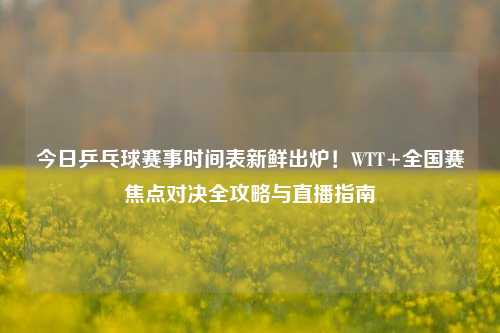 今日乒乓球赛事时间表新鲜出炉!WTT+全国赛焦点对决全攻略与直播指南