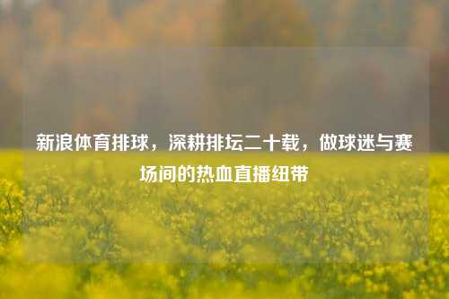 新浪体育排球,深耕排坛二十载,做球迷与赛场间的热血直播纽带
