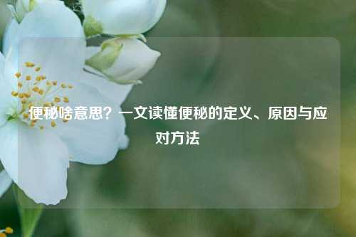 便秘啥意思?一文读懂便秘的定义、原因与应对
