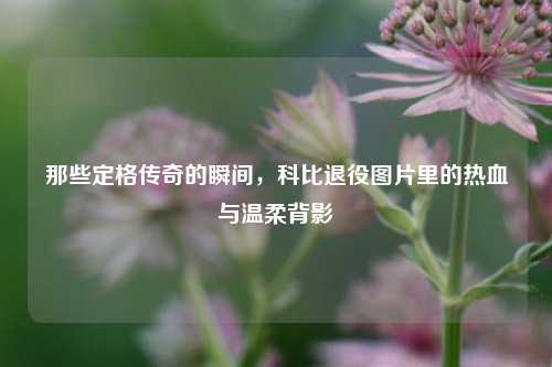 那些定格传奇的瞬间,科比退役图片里的热血与温柔背影