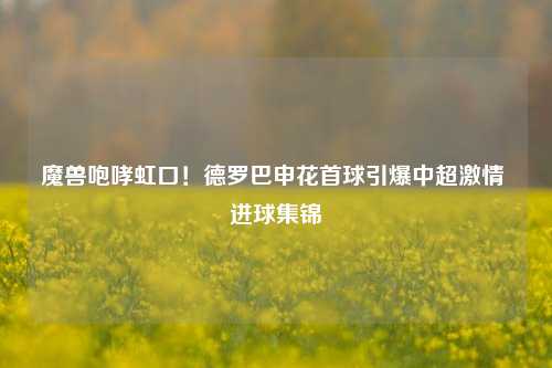 魔兽咆哮虹口!德罗巴申花首球引爆中超 进球集锦