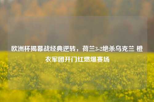 欧洲杯揭幕战经典逆转,荷兰3-2绝杀乌克兰 橙衣军团开门红燃爆赛场