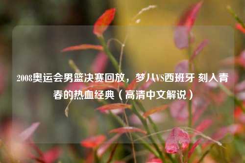2008奥运会男篮决赛回放,梦八VS西班牙 刻入青春的热血经典(高清中文解说)