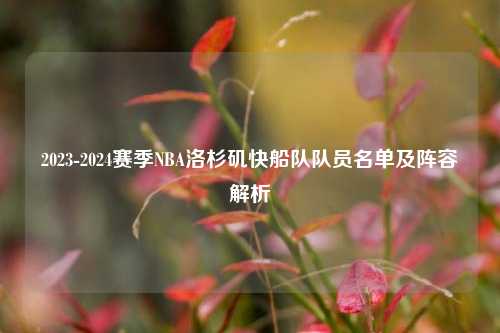 2023-2024赛季NBA洛杉矶快船队队员名单及阵容解析