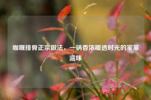 咖喱排骨正宗做法,一锅香浓暖透时光的家常滋味