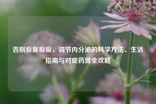 告别反复痘痘,调节内分泌的科学 、生活指南与对症药膏全攻略