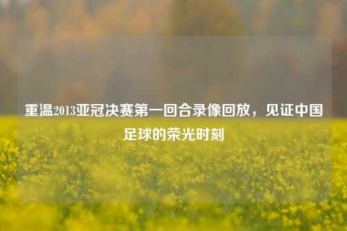 重温2013亚冠决赛之一回合录像回放,见证中国足球的荣光时刻