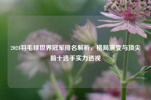 2024羽毛球世界冠军排名解析,格局演变与顶尖前十选手实力透视