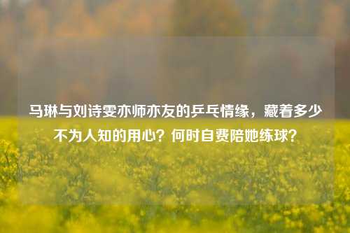 马琳与刘诗雯亦师亦友的乒乓情缘,藏着多少不为人知的用心?何时自费陪她练球?