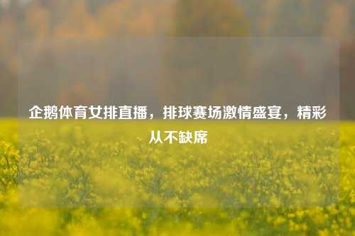 企鹅体育女排直播,排球赛场 盛宴,精彩从不缺席