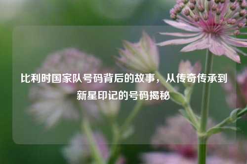 比利时国家队号码背后的故事,从传奇传承到新星印记的号码揭秘