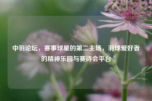 中羽论坛,赛事球星的第二主场,羽球爱好者的精神乐园与赛诗会平台