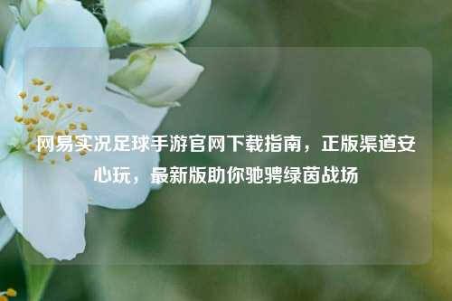 网易实况足球手游官网下载指南,正版渠道安心玩,最新版助你驰骋绿茵战场