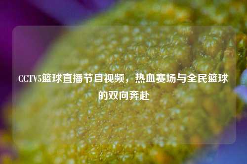 CCTV5篮球直播节目视频,热血赛场与全民篮球的双向奔赴