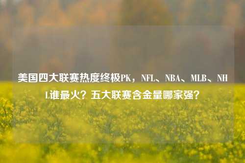 美国四大联赛热度终极PK,NFL、NBA、MLB、NHL谁最火?五大联赛含金量哪家强?