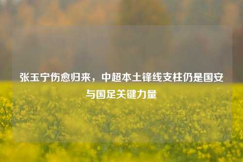 张玉宁伤愈归来,中超本土锋线支柱仍是国安与国足关键力量