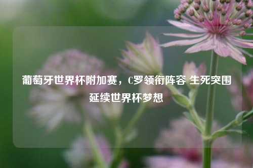 葡萄牙世界杯附加赛,C罗领衔阵容 生死突围延续世界杯梦想