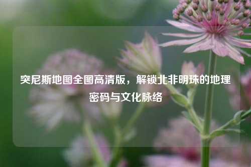 突尼斯地图全图高清版,解锁北非明珠的地理密码与文化脉络