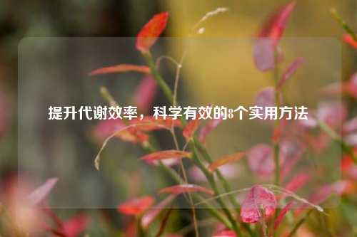 提升代谢效率,科学有效的8个实用