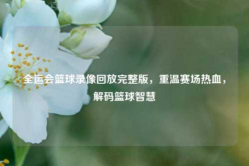 全运会篮球录像回放完整版,重温赛场热血,解码篮球智慧