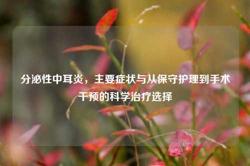 分泌性中耳炎,主要症状与从保守护理到手术干预的科学治疗选择