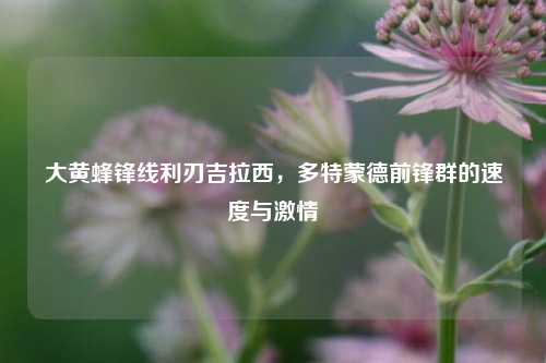 大黄蜂锋线利刃吉拉西,多特蒙德前锋群的速度与
