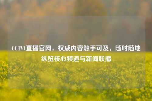 CCTV1直播官网,权威内容触手可及,随时随地纵览核心频道与新闻联播
