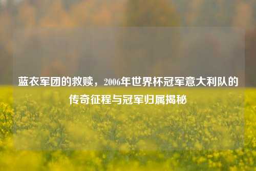 蓝衣军团的救赎,2006年世界杯冠军意大利队的传奇征程与冠军归属揭秘