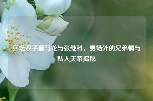乒坛双子星马龙与张继科,赛场外的兄弟情与私人关系揭秘