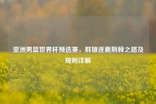 亚洲男篮世界杯预选赛,群雄逐鹿荆棘之路及规则详解