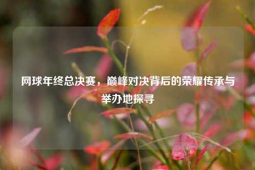 网球年终总决赛,巅峰对决背后的荣耀传承与举办地探寻