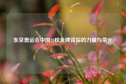 东京奥运会中国38枚金牌背后的力量与荣光