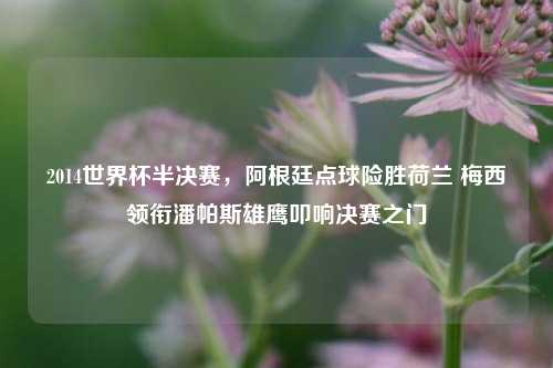 2014世界杯半决赛,阿根廷点球险胜荷兰 梅西领衔潘帕斯雄鹰叩响决赛之门