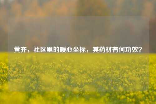 黄齐,社区里的暖心坐标,其药材有何功效?