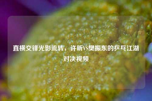 直横交锋光影流转,许昕VS樊振东的乒乓江湖对决视频
