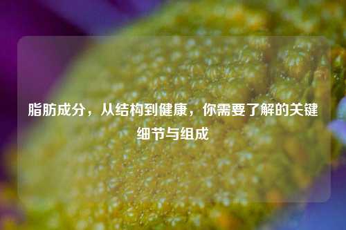 脂肪成分,从结构到健康,你需要了解的关键细节与组成